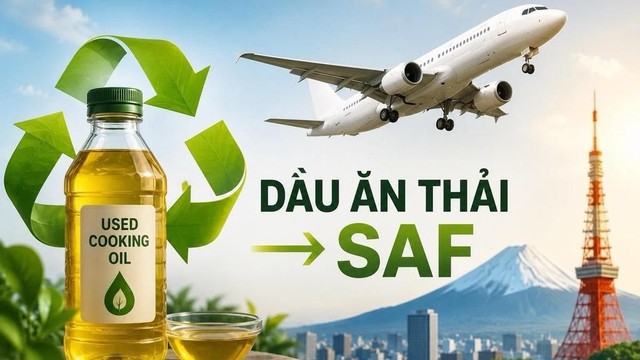 PVOIL thu gom dầu ăn đã qua sử dụng phục vụ sản xuất SAF- Ảnh 1.