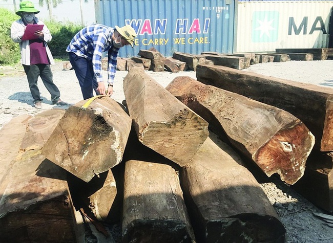 Lô hàng gỗ giáng hương trị giá hơn 20 tỷ đồng bị &quot;bỏ quên&quot; tại cảng Cát Lái - Ảnh 1.