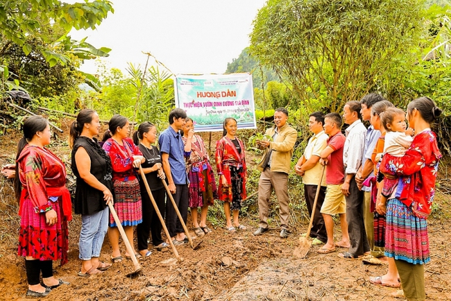 Tập huấn kỹ thuật trồng vườn rau dinh dưỡng giúp hộ gia đình đảm bảo an ninh lương thực. Tập huấn kỹ thuật trồng vườn rau dinh dưỡng giúp hộ gia đình đảm bảo an ninh lương thực.