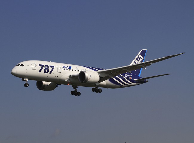 Boeing thu hẹp quy mô sản xuất dòng máy bay hạng sang 787 - Ảnh 1.
