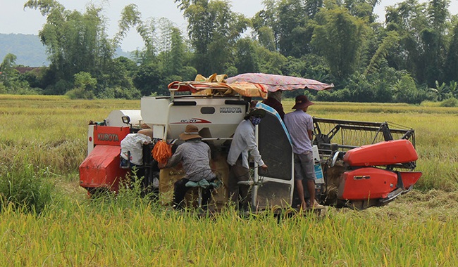 Huyện Điện Biên - tỉnh Điện Biên: Vượt qua khó khăn do đại dịch COVID-19, quyết tâm giữ vững mục tiêu phát triển kinh tế - xã hội - Ảnh 1.