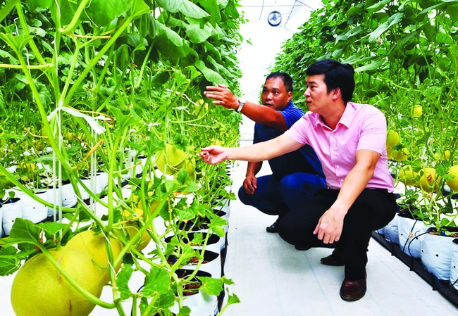 Hà Nội tăng tốc phát triển nông nghiệp, xây dựng nông thôn mới, nâng cao đời sống nông dân - Ảnh 3.
