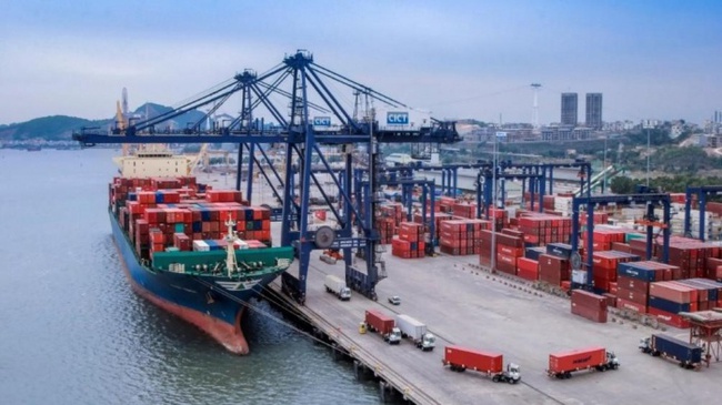 Hàng container qua cảng biển vẫn tăng hai con số bất chấp Covid-19 - Ảnh 1.