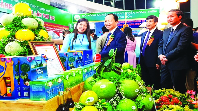 Chào mừng Đại hội Đảng bộ tỉnh Thanh Hóa:  Hội chợ - triển lãm thành tựu kinh tế - xã hội tỉnh giai đoạn 2015 - 2020 - Ảnh 2.