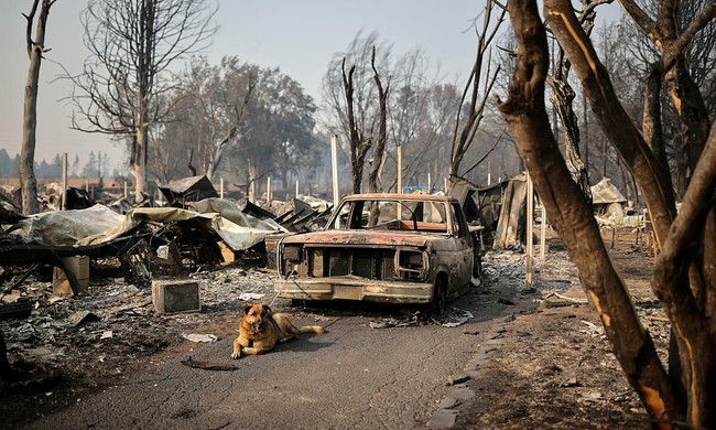 Mỹ: Hàng nghìn người dân ở Oregon sơ tán khỏi những đám cháy dữ dội - Ảnh 1.