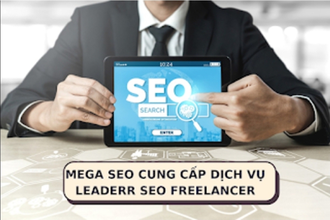 MEGA SEO - Đơn vị cung cấp giải pháp SEO Freelancer chuyên nghiệp và hiệu quả- Ảnh 1.