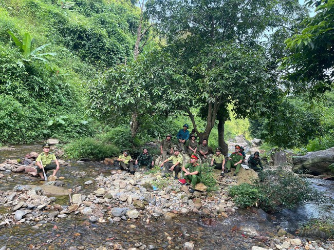 Phú Thọ: Bảo vệ rừng là trách nhiệm của toàn dân- Ảnh 5.