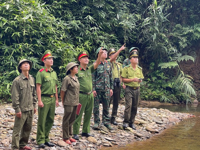 Phú Thọ: Bảo vệ rừng là trách nhiệm của toàn dân- Ảnh 3.