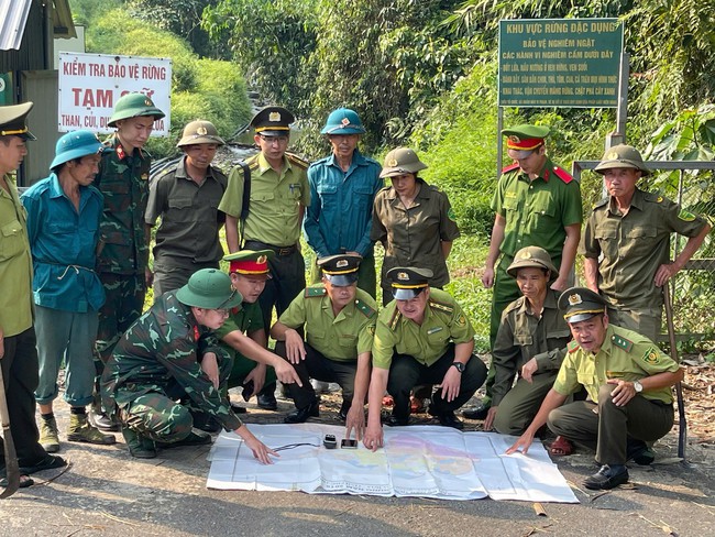 Phú Thọ: Bảo vệ rừng là trách nhiệm của toàn dân- Ảnh 4.