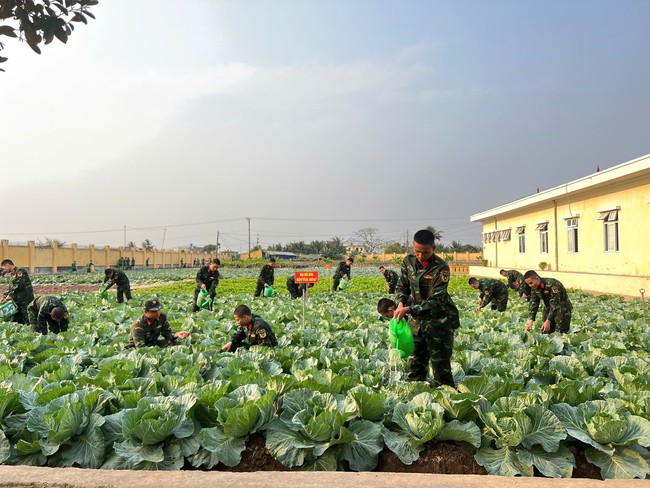 Hai cặp anh em song sinh cùng lên đường nhập ngũ- Ảnh 5. Hai cặp anh em song sinh cùng lên đường nhập ngũ- Ảnh 5.