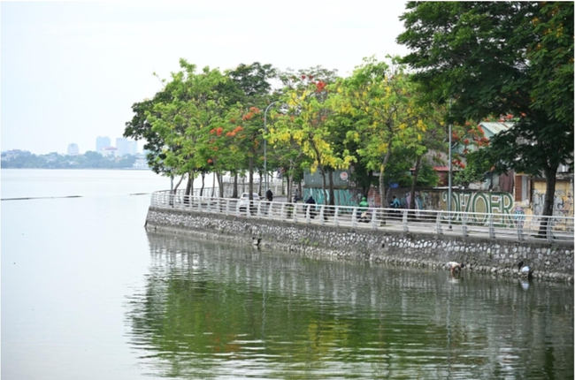 Phường Tây Hồ: Quyết liệt xử lý các “điểm đen” rác thải, chỉnh trang diện mạo đô thị- Ảnh 1.