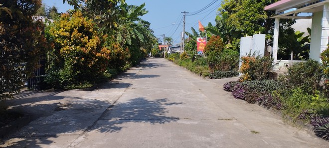 Xã Gò Nổi: Đưa chính sách giảm nghèo đi vào cuộc sống- Ảnh 4.