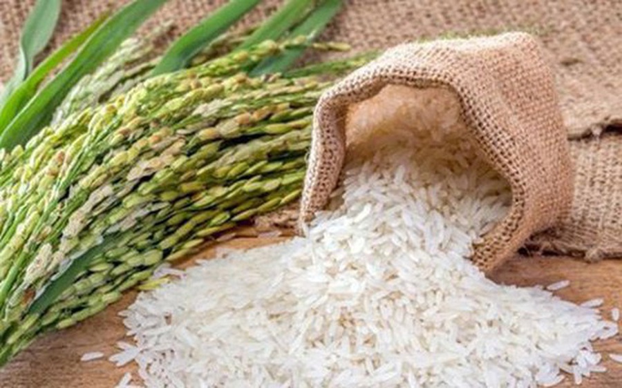 Giá gạo Việt Nam đang ở thế “thượng phong”