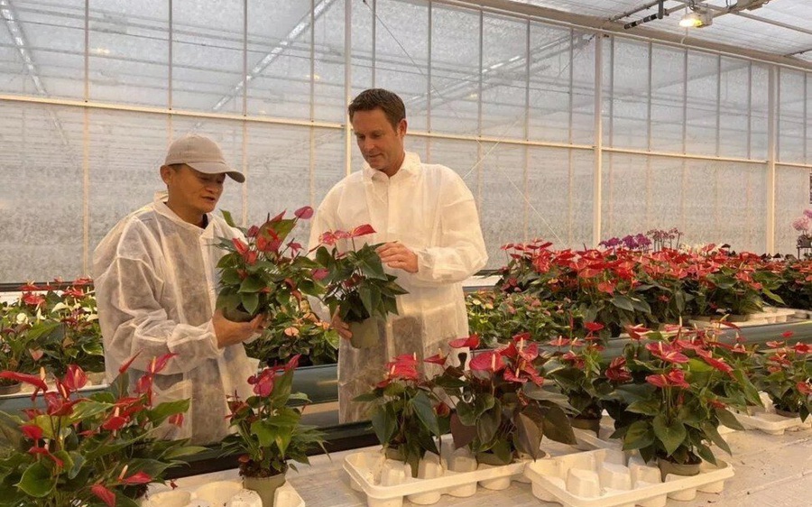 Jack Ma đi thăm trang trại, nhà kính học cách 'trồng rau, nuôi cá', liệu sẽ tạo ra một 'Alibaba trong lĩnh vực nông nghiệp'?