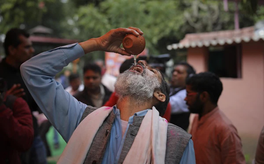 Ấn Độ: Bệnh nhân Covid-19 bị ép uống... nước tiểu bò để chữa bệnh