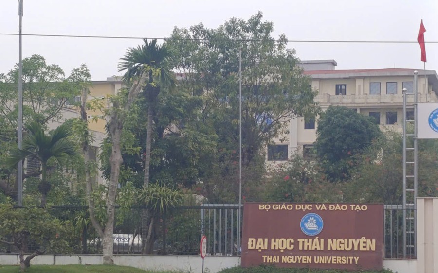 Đại học Vùng không còn phù hợp với thực tiễn Đại học Vùng không còn phù hợp với thực tiễn