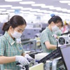 HSBC: Bùng nổ FDI vào ASEAN, Việt Nam là một câu chuyện thành công điển hình