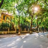 Việt Nam đứng thứ 4 trong danh sách điểm đến mùa thu nổi bật thế giới