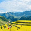 Du lịch Lào Cai bứt tốc, gia tăng sức hút với du khách quốc tế
