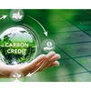 Khung pháp lý chung cho thị trường carbon đã tương đối đầy đủ