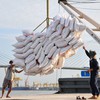 Xuất khẩu gạo lập kỷ lục trong nửa đầu năm 2026