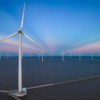 Cà Mau chấp thuận chủ trương đầu tư 3 dự án nhà máy điện gió với tổng công suất 170 MW