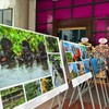 Nghệ sĩ nhiếp ảnh Nguyễn Á kể "Chuyện về Biển đảo Quê hương"