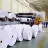 Xuất khẩu giấy và các sản phẩm từ giấy đạt 238,54 triệu USD