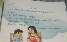 Sẽ điều chỉnh quy trình ban hành sách giáo khoa mới