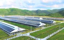 Vinamilk đầu tư hệ thống năng lượng mặt trời tại 12 trang trại bò sữa trên cả nước