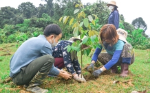 Manulife Việt Nam cùng khách hàng trồng rừng, hướng tới một tương lai bền vững