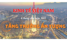 Kinh tế Việt Nam 6 tháng đầu năm 2022 tăng trưởng ấn tượng
