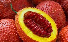 Vai trò của vi chất dinh dưỡng đối với sức khoẻ