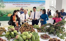 Năm 2023 sẽ có gần 300 hoạt động xúc tiến thương mại