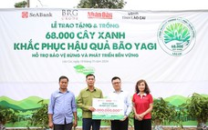 SeABank và Tập đoàn BRG chung tay trồng 68.000 cây phủ xanh gần 20ha rừng tại Lào Cai