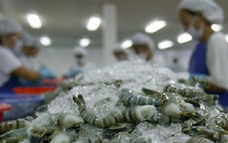 Việt Nam vươn lên vị trí thứ 5 về xuất khẩu thủy sản vào Singapore