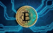 Giá Bitcoin hôm nay 22/1: Thị trường biến động sau lễ nhậm chức của Tổng thống Donald Trump