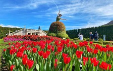 Sun World Ba Na Hills sẽ hội ngộ muôn sắc hoa dịp Tết Ất Tỵ