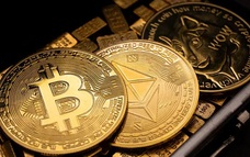 Giá Bitcoin hôm nay 12/11: Áp lực bán từ nhóm nhà đầu tư ngắn hạn