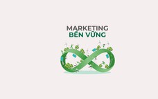 Xu hướng marketing trong tương lai: Chuyển từ hiệu suất sang bền vững