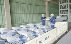 Xuất khẩu xi măng, clinker 11 tháng vượt kỷ lục năm 2024