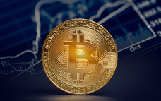 Giá Bitcoin hôm nay 31/12: Xu hướng nắm giữ Bitcoin tiếp tục mở rộng