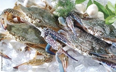 Ghẹ Việt Nam giữ lợi thế cạnh tranh trên thị trường quốc tế