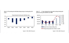 MBS định giá hấp dẫn cho tăng trưởng lợi nhuận 2025 của Vinamilk