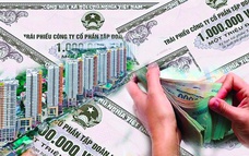 Áp lực đáo hạn trái phiếu Bất động sản dự kiến đạt đỉnh trong tháng 8/2025