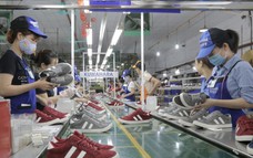 Ngành da giày hướng mốc 1,5 tỷ USD tại thị trường nội địa