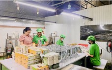 Xuất khẩu gỗ và sản phẩm gỗ năm 2025 lần đầu vượt mốc 17 tỷ USD