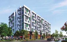 Xuất khẩu cao su đạt gần 3,33 tỷ USD trong năm 2025