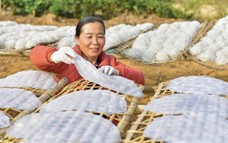 Hội chợ Mùa Xuân năm 2026 chính thức diễn ra từ 2/2 đến 13/2