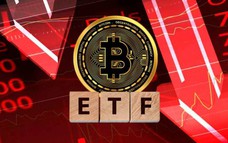 Giá Bitcoin hôm nay 26/10: Các quỹ ETF bị rút ròng 635 triệu USD
